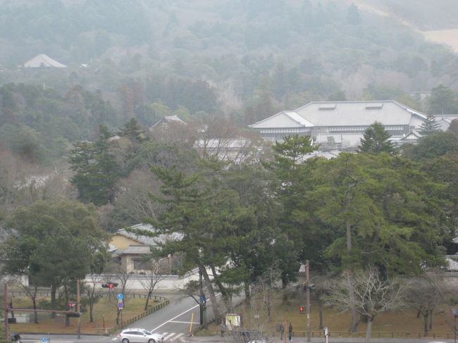 翌日奈良へ向かう。宿で自転車を借り国立博物館へ向かう。お水取りの特別陳列を見る。表面に見えるのは「お松明」だけだが、実は様々な伝統と厳しい修行があることを知る。次いで展望スポットとして有名な県庁の屋上へ行く。今日は土曜なので１時から公開。内部には働く人は誰もいない。さすがは県庁、公務員の鏡。