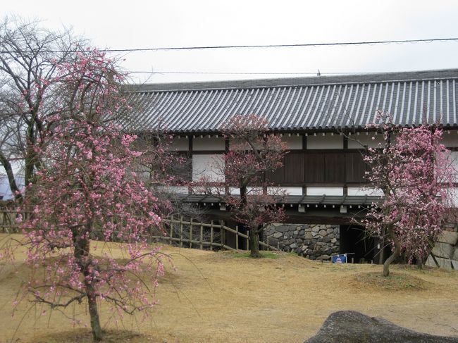 これは梅か桃か、それが問題だ。