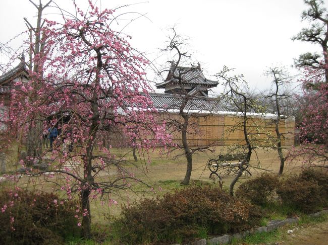 この町の名産は金魚だそうな。