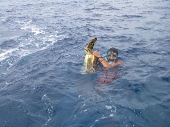 ガイドさんが潜って連れてきてくれた。....というかこんなことしていいんだろうか？？　かわいそくない？