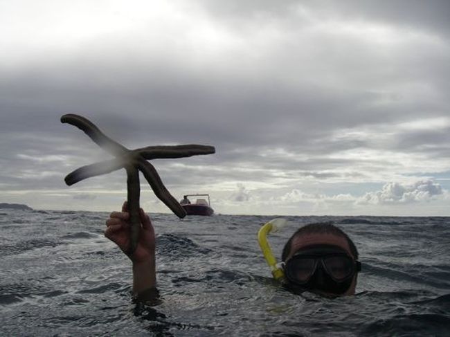 そしてこのガイドさん....なぜかナマコやらシャコ貝やヒトデなど、潜っては採って、それを見せに来るという、子供が母親に『こんなの採れた〜』ってやるかのようなことを繰り返しやる。何で？　別に珍しいものでもないし、いらないけど？？　テニアンの人はなんか面白いね。
