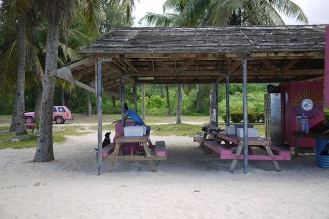 さっそくカメ・シュノーケルツアーに参加。ウミガメ遭遇率99％ということでワクワクしてた所、自分たち以外にもう一組参加する人たちがやってきました。日本人だった。<br /><br />.......おヤクザさんの面々でした。<br /><br />気を取り直してシュノーケルに出発！　ウミガメを見るポイントなので、深すぎて珊瑚も魚も遠すぎてよく見えない.....