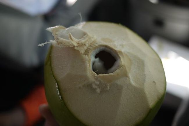 そしてしばらくしてまた止まって、今度は椰子の実ジュース。美味しかった！....けど何で？