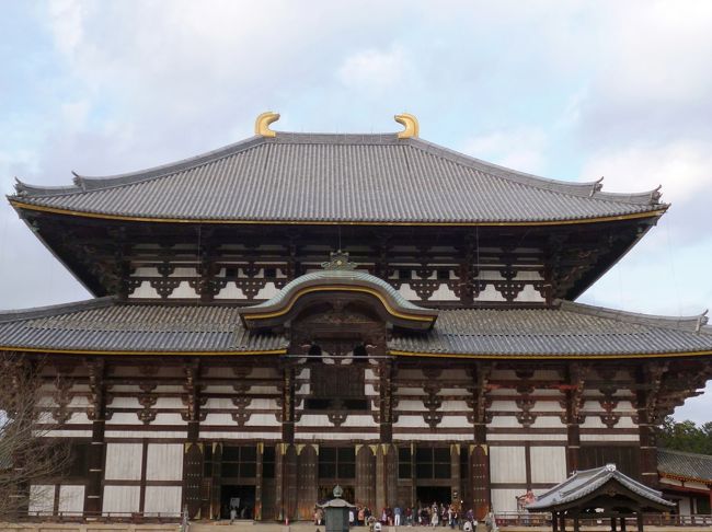 東大寺。こちらの大仏さまは大きさに圧倒されます