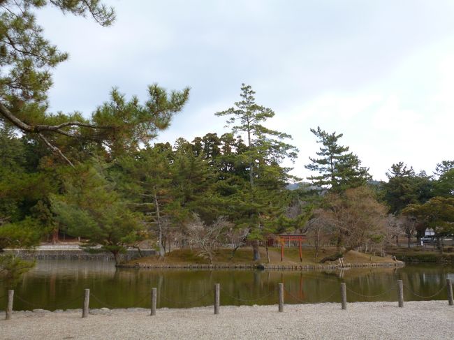 東大寺のなかには庭、池も風情がたくさん