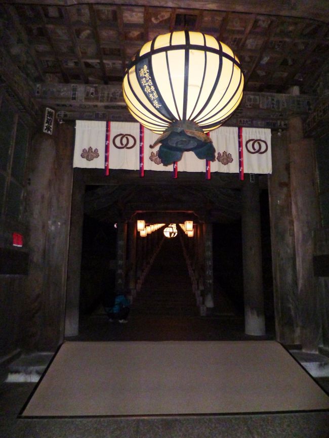 長谷寺のライトアップ。三が日開催されていて、夜８時まで。ちなみに無料でした。通常は拝観料がかかります。