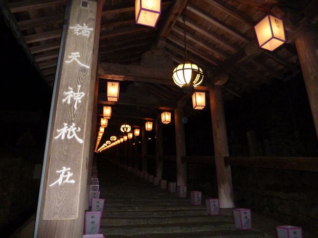 夜で人がすくなくて、幻想的