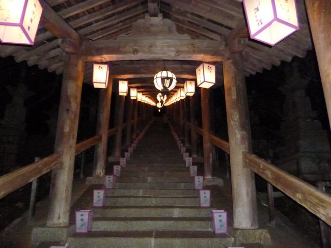 階段がずっとまるで鏡のようにつづきます