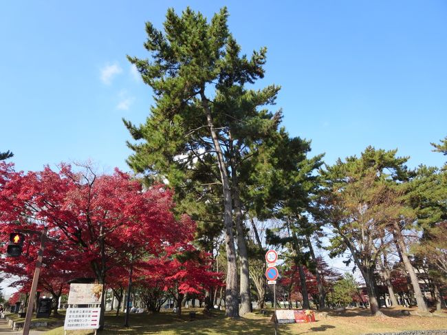 ＪＯＥＣＯＯＬさんご夫婦が、家の近くでピックアップして連れて行って下さいました(*^_^*)　本当に、いつもありがとうございます♪<br /><br />待ち合わせは、猿沢池！<br />久々の、懐かしいお顔を拝見して、思わず笑顔になります！<br />初めてお会いした、前日光さんも、本当に優しい笑顔の素敵な方でした♪<br />