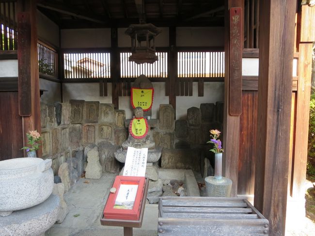 石仏さまが、たっくさんヽ(^o^)丿