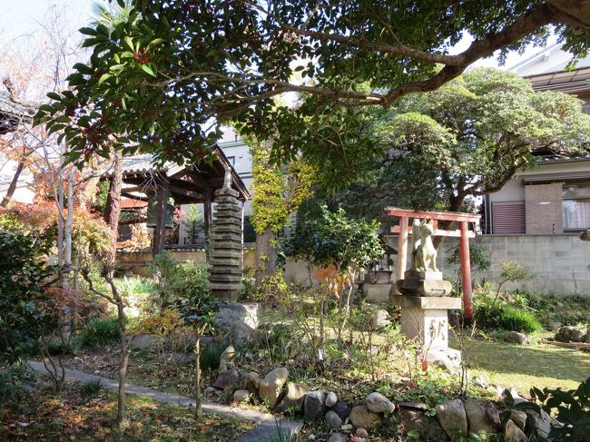 庭園散策、大好きです(^O^)