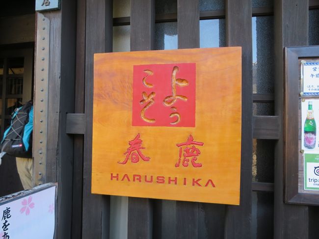 結構、奈良コミュには飲まない人が多いんですよ。<br />私も、飲めません。<br />でも、雰囲気で酔えるタイプなので、なぜかお酒の席では上機嫌になったりするんですけどね(^_-)-☆