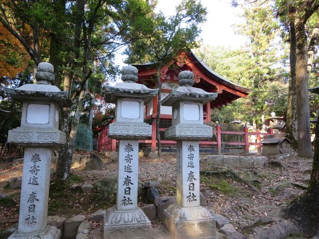 てくてくてく♪