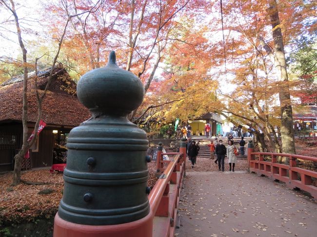 水谷茶屋のあたりは、紅葉の撮影スポットです！