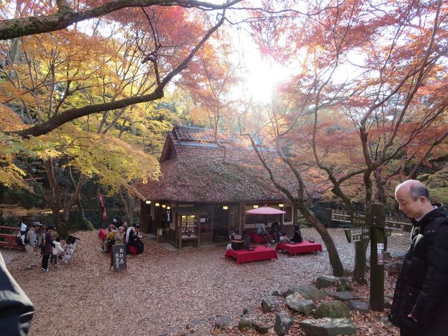 この、のどかな佇まい、いいですね♪