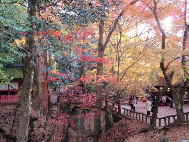 ここで、３０分ほど、撮影タイムとなりました(*^_^*)