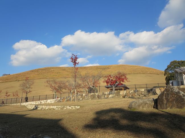 今度、登ってみようかな♪