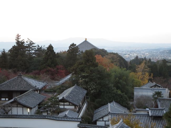 だんだん暗くなってきました♪