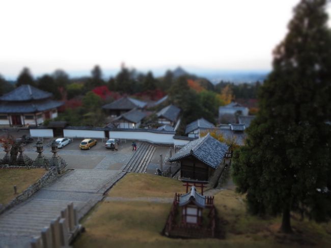 トイカメラモードで、遊んでみます。