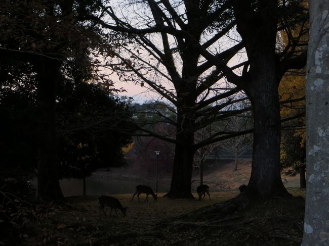 鹿さん達、またねー(^o^)／