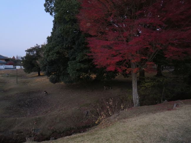 帰りも、ＪＯＥＣＯＯＬさんご夫婦が、送って下さいました♪<br />ありがとうございます(*^_^*)<br /><br />奈良コミュオフ会、また開催して下さいね、王子ヽ(^o^)丿