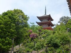 ここも「瀬戸田」にある観光スポット「向上寺」です。実は、このお寺にある「三重塔」は国宝なんです！必見です。