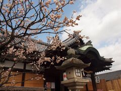 相方さんレーダー発動。
どうやら見どころを通り過ぎたらしい。

縁も所縁もない学問の神様、菅原天満宮。
縁はなくとも、梅咲き誇る。