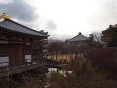 おっと、法華寺はまだオープン。

でも、
ご自慢の庭園は、まだ春支度。
要するに、殺風景。

そして、閉ざされた海龍王寺に肩を落としたら、
もう行く宛もなく、サイクリングは終わる。

いざ、東大寺へ。