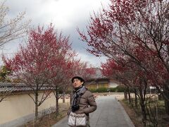 こいつも、ジャパニーズ。

オトナになったからか、
帽子がほんのり香る。