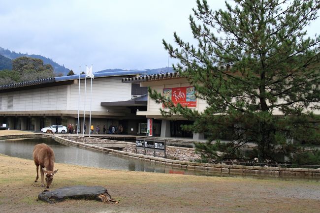 奈良国立博物館。<br />東大寺南大門駐車場から徒歩１０分位でした。<br />お水取りの時期は、特別陳列「お水取り」が展示されています。<br />できれば、博物館を見てから修二会見物に行った方がよくわかると思います。１時間３０分時間をもらいましたので、ゆっくり見る事が出来ました。<br />注意：館内は撮影禁止です。<br /><br />この日は平日でもあり、駐車場も空いていました。