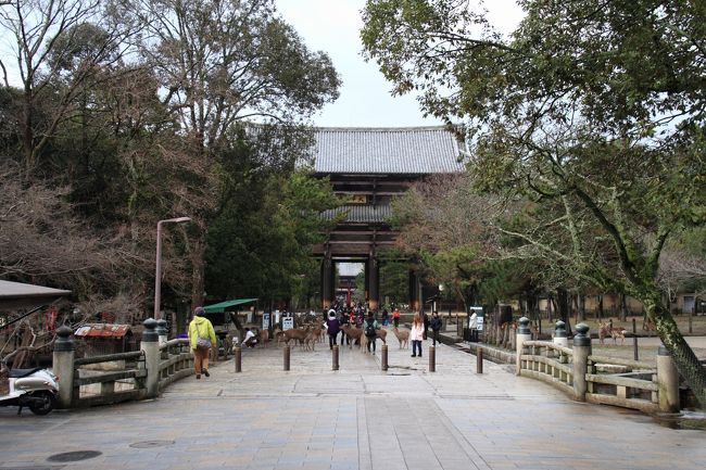 東大寺南大門です。