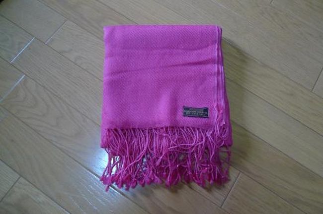 お土産は荷物になるからカトマンドゥに行ってから買うつもりだけど、パシュミナ1枚買っちゃった。クーラー効きすぎの場所とかで役立つし。<br /><br />夕飯は日本人にも大人気のD.B.Momoでチーズモモ（ギョウザ）とビール、チャー（ミルクティー）。<br />食事中に大雨、落雷、停電で結局2時間近くお店にいた。（この時は落雷のせいで停電したのかと思っていたけど、天気に関係なく滞在中ほぼ毎日停電してた・・・）<br /><br />