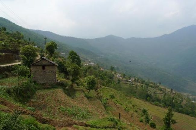 食後は近隣を散策。<br />宿周辺の棚田は景勝地として有名。<br /><br />周りにも何軒か同じような宿があるので、予約なしでもどこかしらには泊まれそう。ただ、私の泊まった宿は当日フルで午後来た人を何人も断ってたよ。<br /><br />
