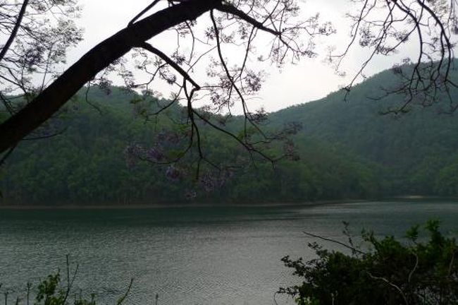 午後は再びポカラの町を散策。<br />フェワ湖。ジャカランダが満開でキレイ♪<br /><br />一昨日はレイクサイドを北上したので、今日は南下してダムサイド方向に向かってみる。<br /><br />