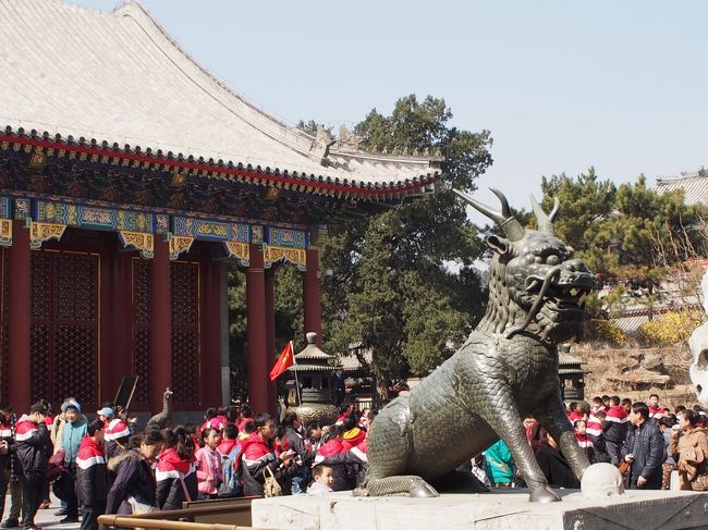 4260 外国切手 中国 2008年 風景名所 頤和園 凹版6種完 中国・清朝の希少切手、8900万円で落札 写真1枚 国際ニュース