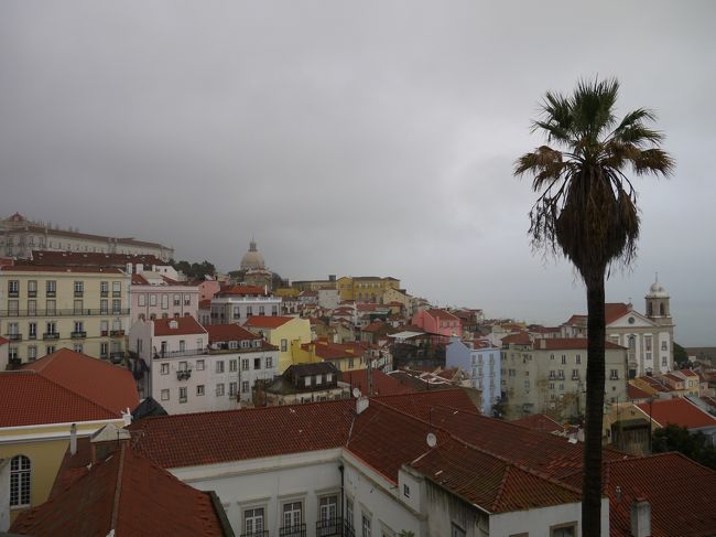アルファマ地区とは…<br />1755年のリスボン大地震から奇跡的に逃れた地区なので入り組んだ路地や坂道などリスボンで一番古い街並みが残っている。<br />迷路のように入り組んだ街並には昔ながらの庶民の暮らしが息づいている。<br />「アルファマ」とはアラブの言葉で「水が湧く所」という意味。<br />港を望むこの街はイスラム時代から大航海時代まで商取引の場として栄え多くの船乗りで賑わった。<br />アルファマの魅力はリスボン１ともいわれるパノラマ。<br /><br />晴れていたらもっと綺麗だろうなぁ。