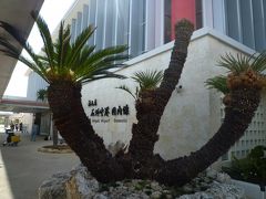 のっけからなんだけど、新しくなった石垣空港は近代的でスタバがあったりしてどこにでもある空港になっていた。
土産物も整然と並べられ綺麗だけどあんまり欲しいと思えない。

雑然と地元野菜が売られたりしていた前の空港の方が好きだったなぁ。