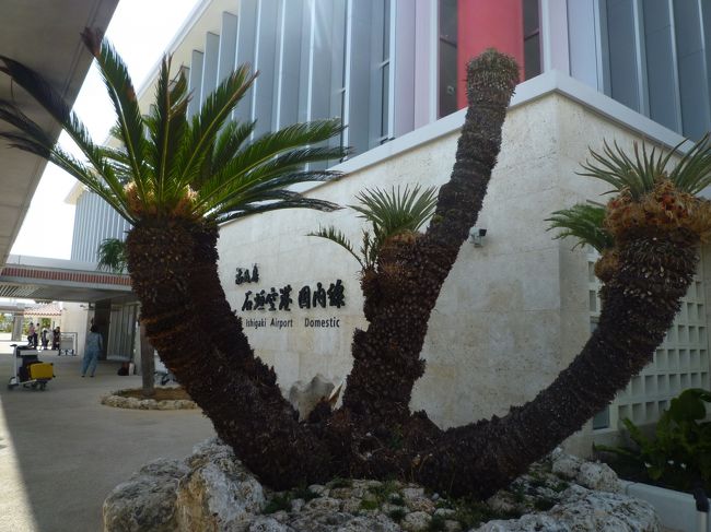 のっけからなんだけど、新しくなった石垣空港は近代的でスタバがあったりしてどこにでもある空港になっていた。<br />土産物も整然と並べられ綺麗だけどあんまり欲しいと思えない。<br /><br />雑然と地元野菜が売られたりしていた前の空港の方が好きだったなぁ。