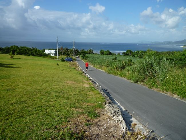 ダイビング２本であがると午後はゆっくり時間があるので散歩に行ってみた。<br /><br />周りはぽつぽつと民家があるくらいで石垣の自然がいっぱいののんびりしたところだった。