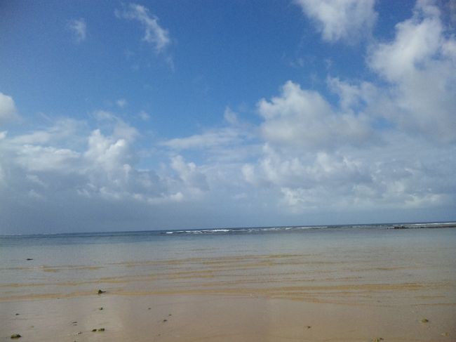 遠浅の海と誰もいない海岸。