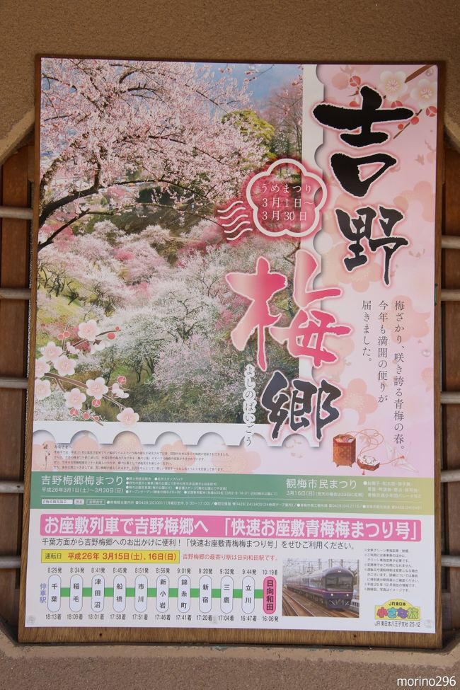 暫く見納めとなる吉野梅郷 梅の公園 青梅 東京 の旅行記 ブログ By Morino296さん フォートラベル 暫く見納めとなる吉野梅郷 梅の公園 青梅 東京 の旅行記 ブログ By Morino296さん フォートラベル