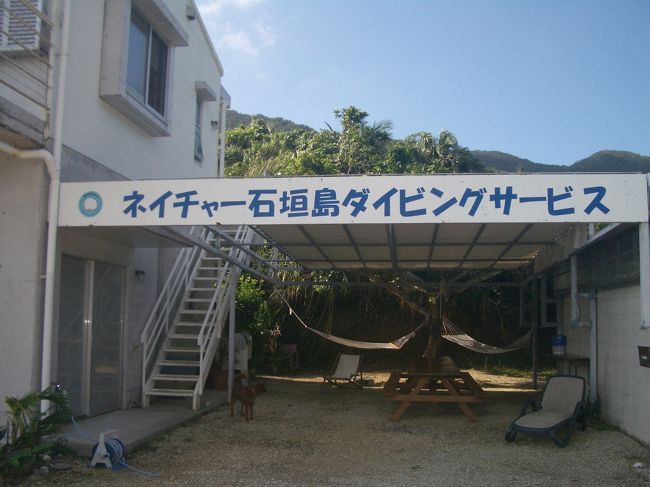 翌朝、予約しておいたダイビングショップが迎えに来てくれた。<br /><br />「ネイチャー石垣島ダイビングサービス」ここは石垣島内ならどこでも送迎してくれる。今回ここに決めたのはこの時期に潜るポイントに近く、お昼ご飯をショップに戻って食べられるから。そしてあまりイケイケじゃない感じがしたから。笑<br /><br />結果的にここを選んで正解だった。<br /><br />