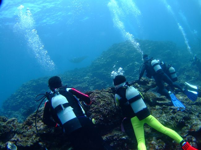 カメラを持ってなかったのでインストラクターが撮ってくれた。<br /><br />マンタ待ちの様子。