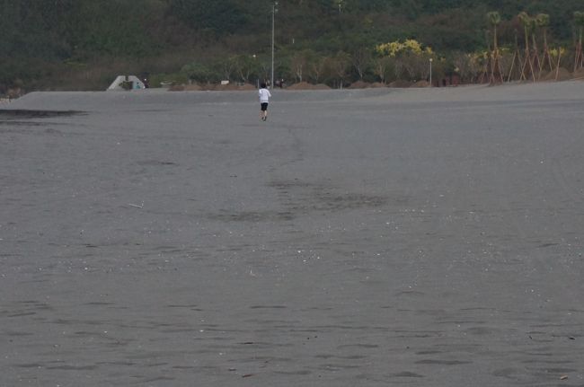 食事をした後は海岸へ<br /><br />甥っ子はテンションあがって走る走る！