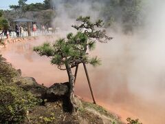 血の池地獄
鉄分を含んで赤くなった大きな池がある。
ここでしか買えない血の池軟膏が売られている。
見学目安は１０分。