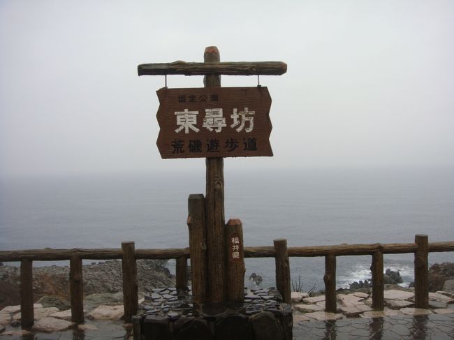 雨にもかかわらず、予定通り観光するんですね！<br /><br />「東尋坊」は何度も来ているのでパスして早めに帰っても良いよ！と言っても、絶対にスケジュールの変更はしないんです！