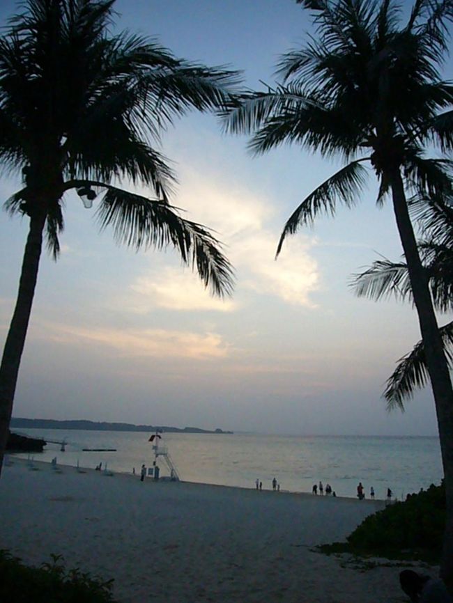 夕暮れ・・・ステキ