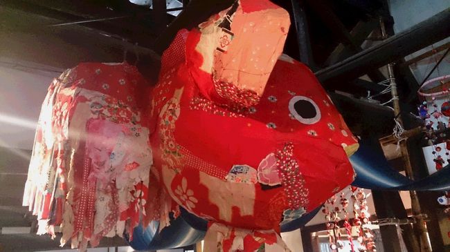 大和郡山といえば、この金魚。