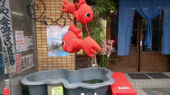 金魚すくいが実際にできるお店だって、ちらほらありました。