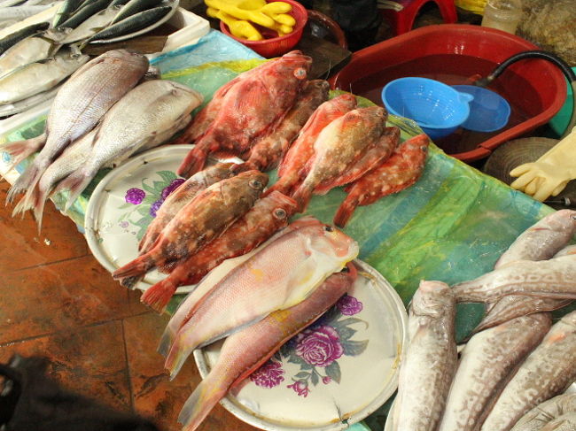 いろんな魚がいっぱい。<br />私たちはひらめを２万ウォンで購入！！